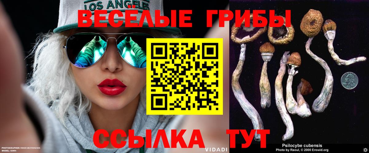 Псилоцибиновые грибы MAGIC MUSHROOMS Торжок