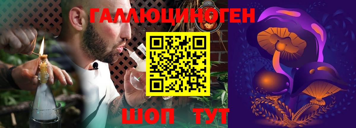 Торжок  Псилоцибиновые грибы мицелий  Вход с VPN  Псилоцибиновые грибы мицелий 